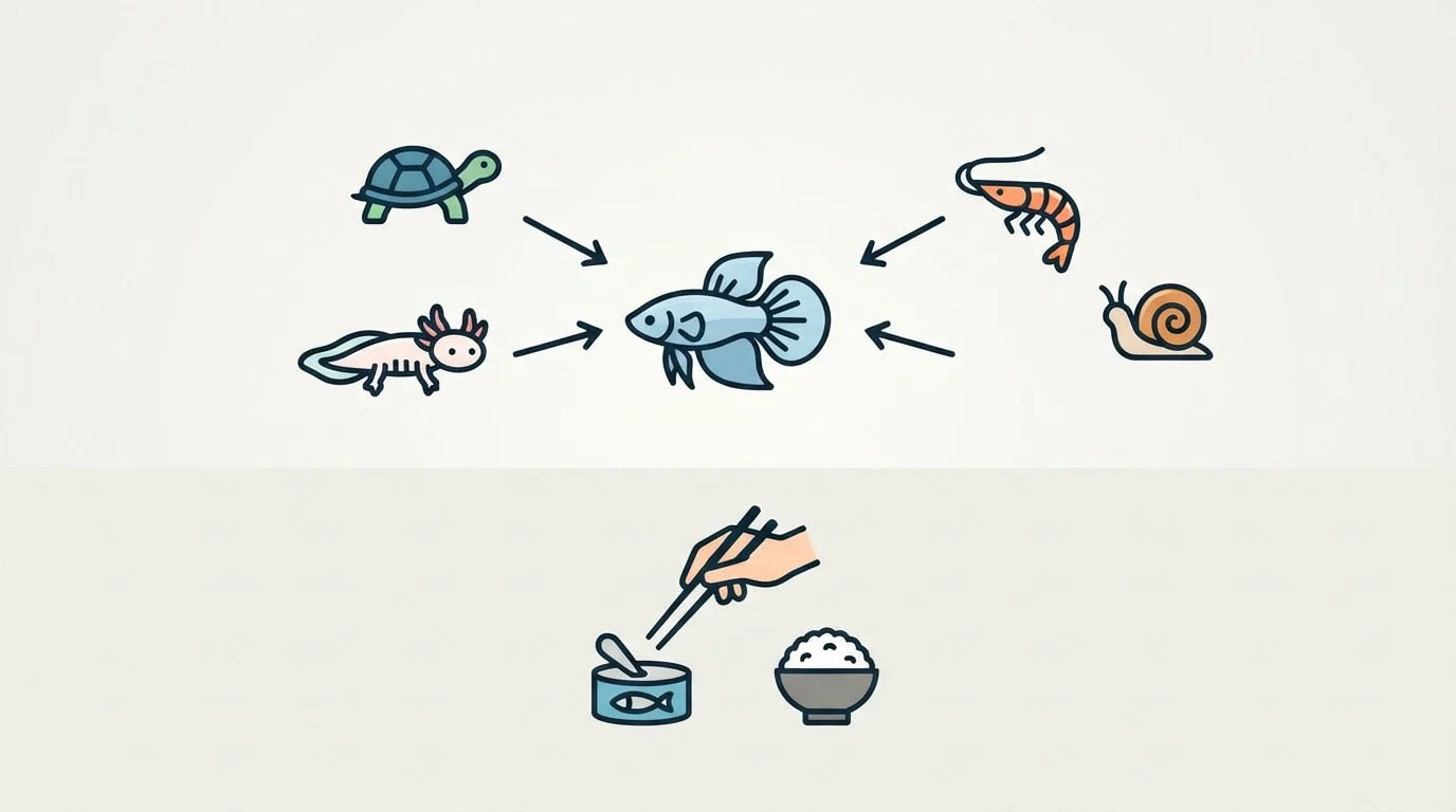 What Animals Eat Betta Fish? A Guide to Common Predators and Risks